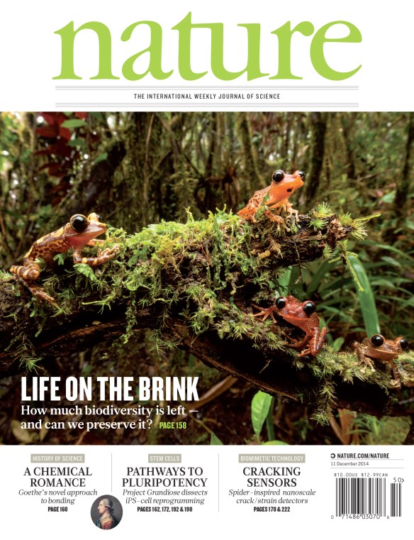 nature cover