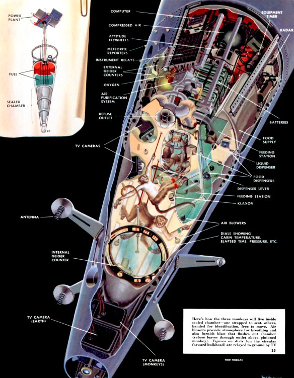 Collier 6.27.1953-p.35-Monkeys in Space.jpg.jpg